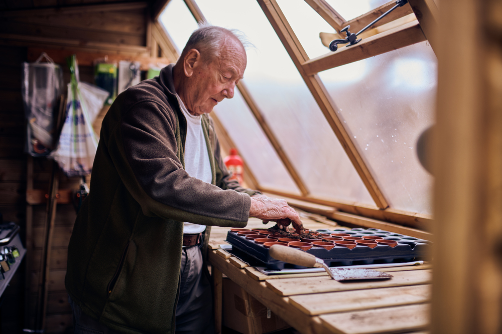 A man potting plants in his garden shed